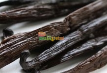 Wangi Peluang Emas Vanili