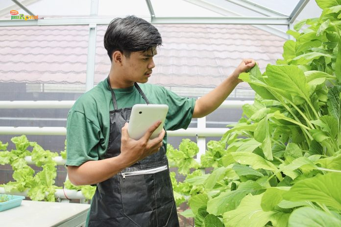 Petani Muda Online