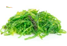 Indonesia Raja Rumput Laut Dunia, Tapi Masih Terjebak Ekspor Bahan Mentah Selama Satu Dekade Rumput Laut