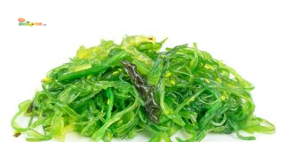 Indonesia Raja Rumput Laut Dunia, Tapi Masih Terjebak Ekspor Bahan Mentah Selama Satu Dekade Rumput Laut