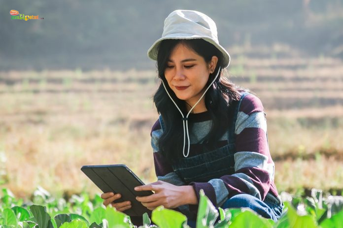 Strategi Pemasaran Pertanian Strategi Pemasaran Pertanian